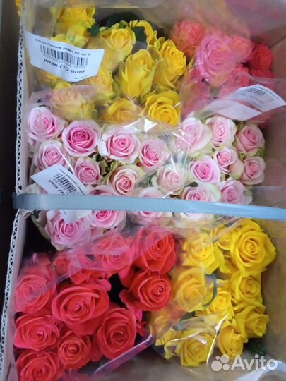 Цветы (розы) оптом
