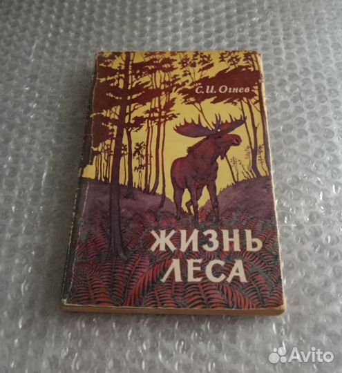 Жизнь леса 1962