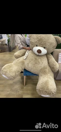 Мишка Тедди