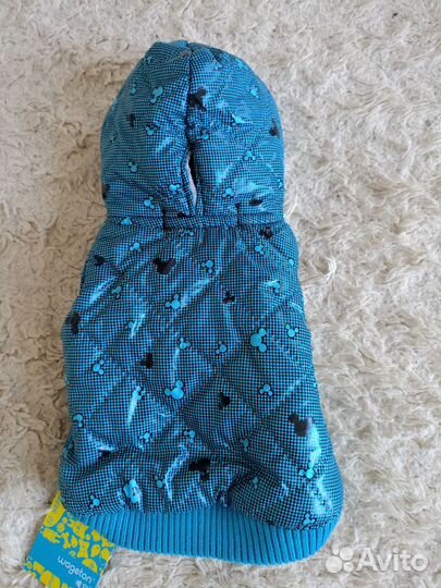 Одежда для собак мелких пород