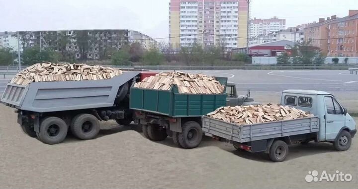 Дрова дуб,берёза