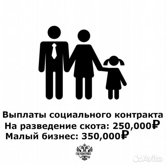 Социальный контракт