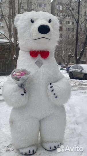 Мишка Тима и Зайка Милашка