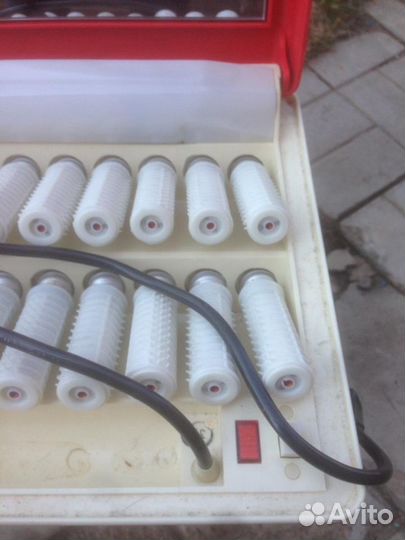 Электо-бегуди