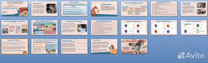 Индивидуальный проект 5-11 класс