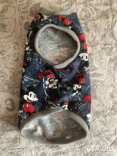 Толстовка для животных