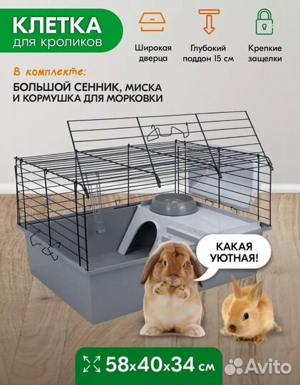 Морская свинка с клеткой