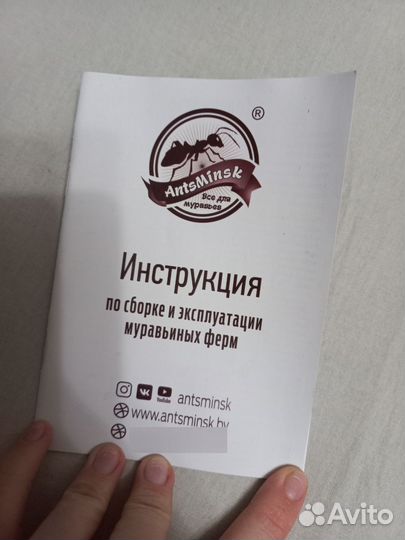 Муравьиная ферма XL Формикарий