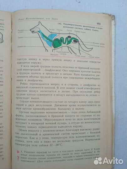 Учебник по зоологии 6-7 класс 1981
