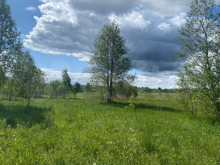 Участок 4 га (СНТ, ДНП)