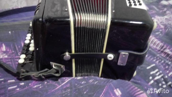 Гармонь шуйская чайка