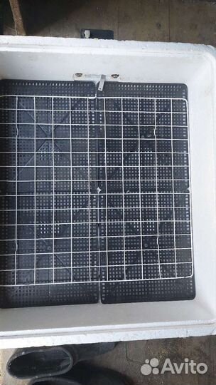 Инкубатор несушка