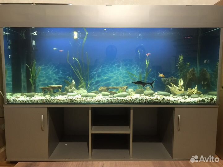 Аквариум 480 литров с тумбой