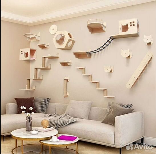 Соболь малыши