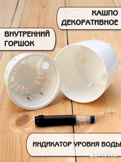 Маленький горшок с автополивом. Кашпо с фитилем