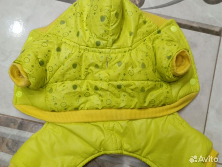 Одежда для той терьера