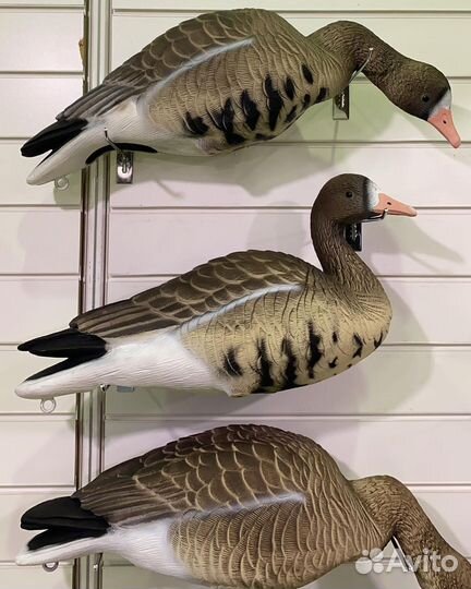 Профиля гусей Элит 3д