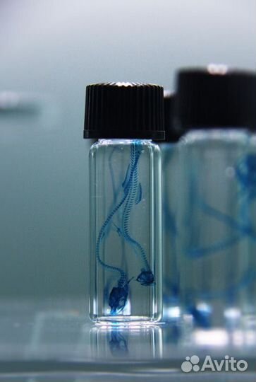 Репетитор по биологии огэ