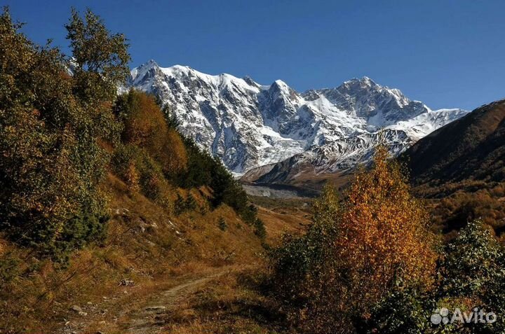 Экскурсии Абхазия, Красная Поляна, Морские прогулк