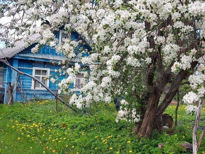 Дом 60,6 м² на участке 70 сот.