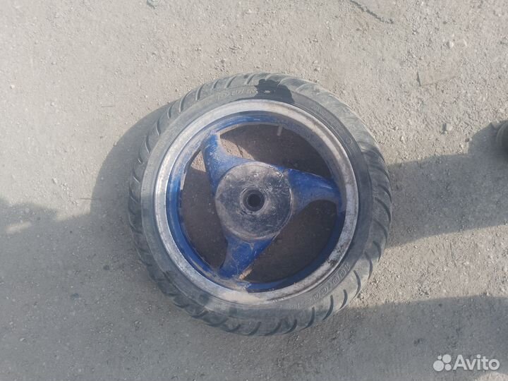 Гидролиния передняя