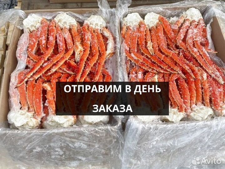 Клешни камчатского краба