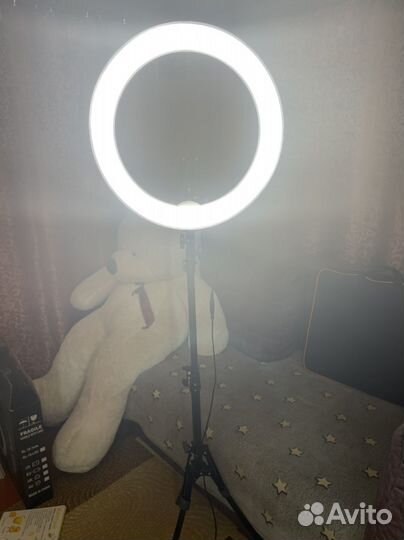 Кольцевая лампа