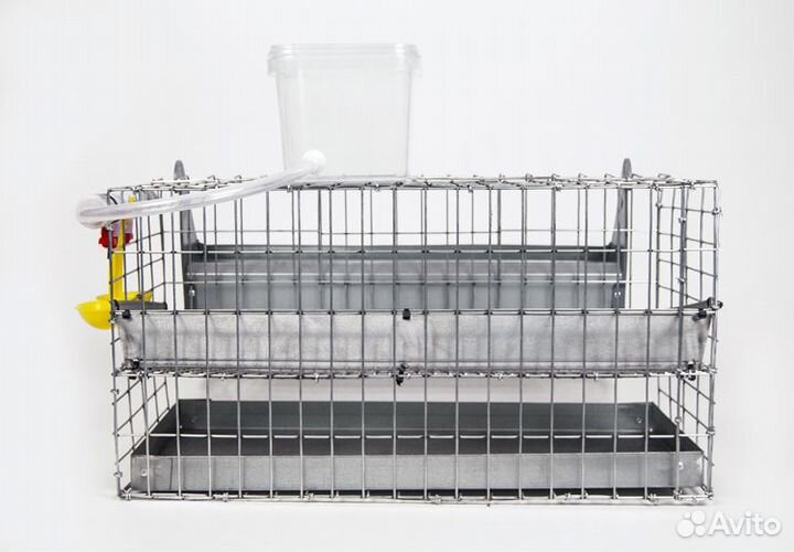 Клетка для перепёлок на 10 птиц