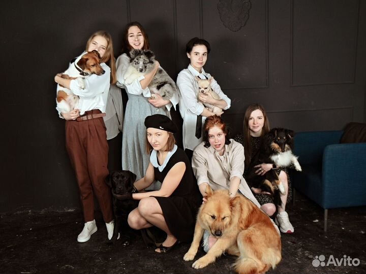 Курсы кинолога, кинолог