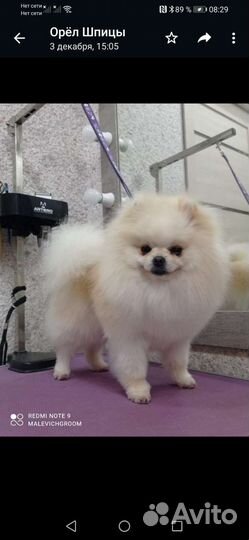 Шпицы для вязки