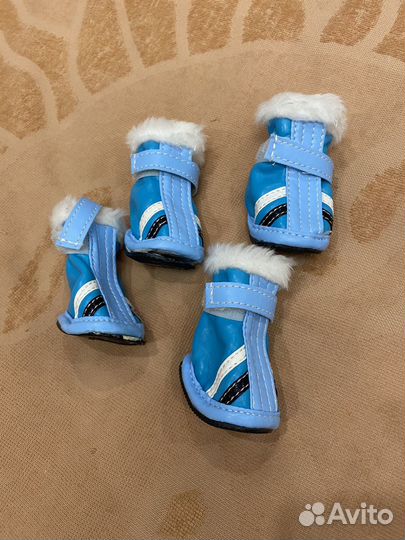 Обувь для собак