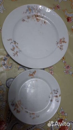 Тарелки тов.Кузнецова