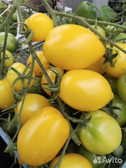 Продукты питания