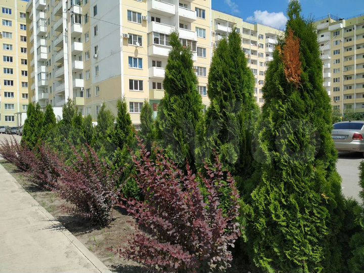 1-к. квартира, 45,4 м², 9/10 эт.