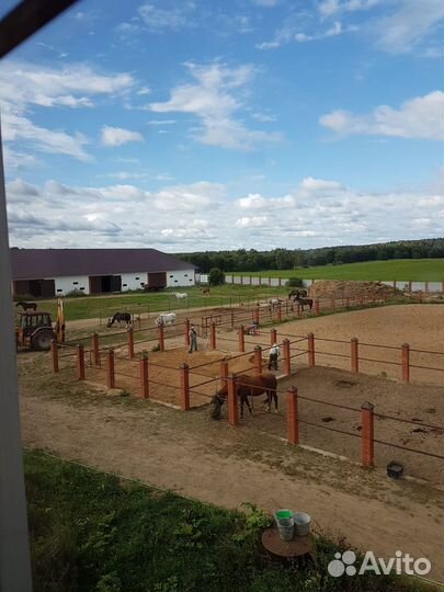 Постой для лошадей