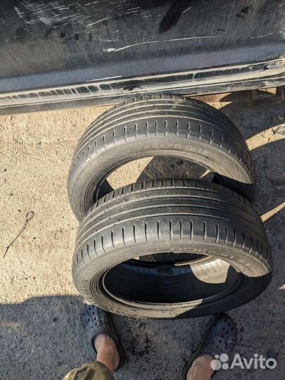 Nokian Tyres Hakka Blue 2 205/55 R16