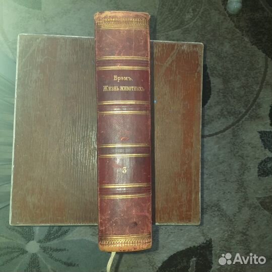 Жизнь животных. Альфред Брэм