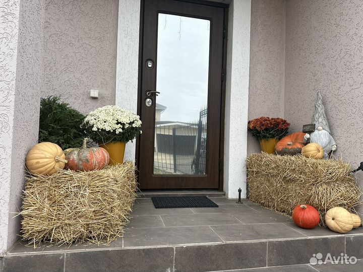 Сено солома в тюках