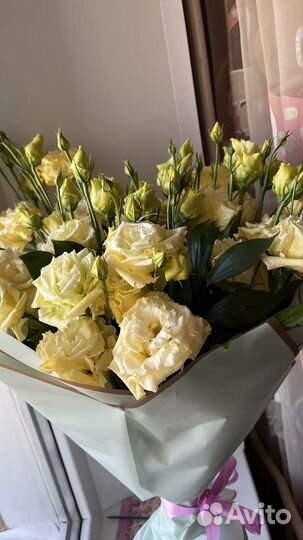 Цветы кустовые розы