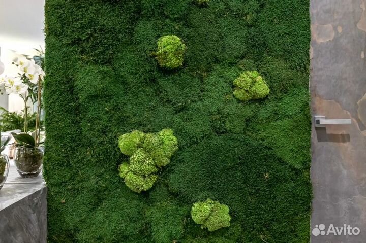 Панно из мха пластового