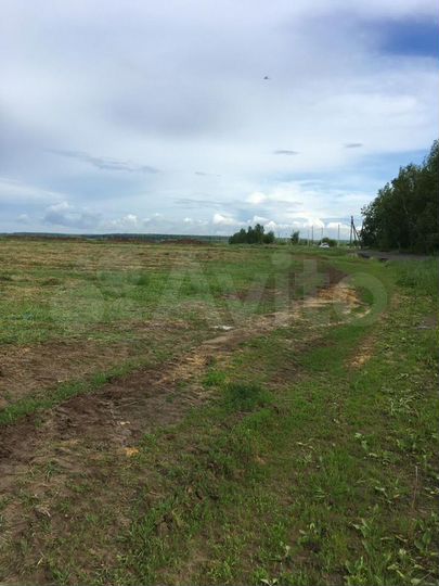 Участок 4,9 га (СНТ, ДНП)