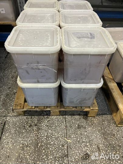 Мёд Разнотравье светлое оптом