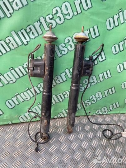 Амортизаторы Mercedes-Benz S-Class W140 M119.970