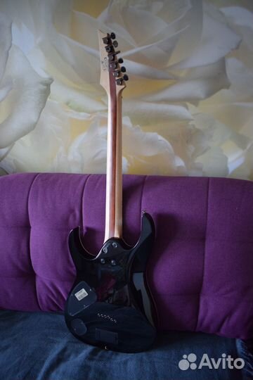 Электрогитара Ibanez Iron Label rgir20FE EMG