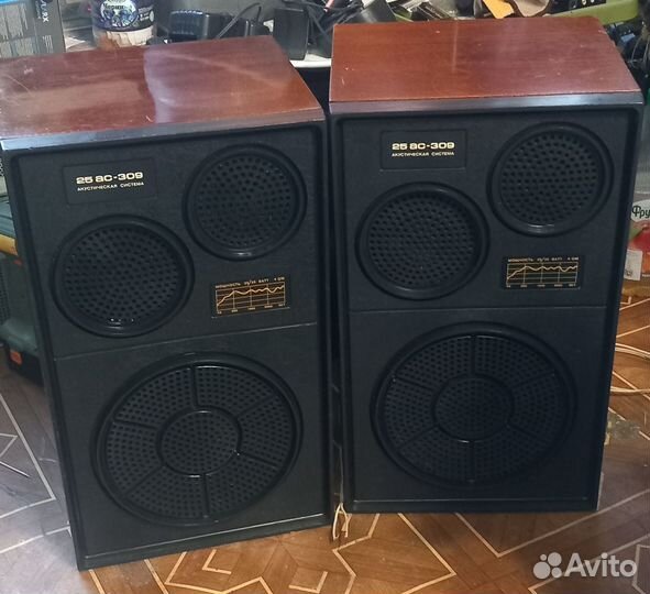 Колонки 25 ас 309