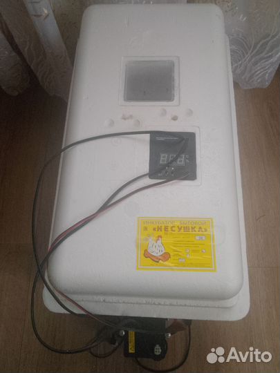 Инкубатор для яиц автоматический бу