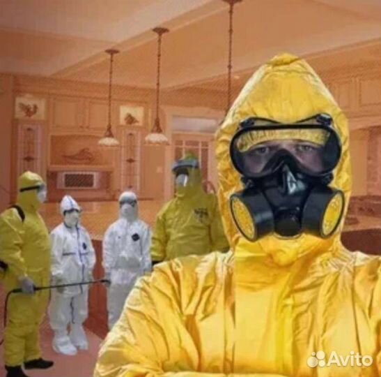 Дезинфекция