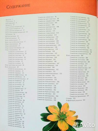 Энциклопедии 