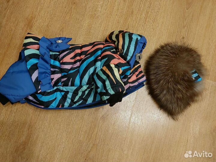 Йокширский терьер