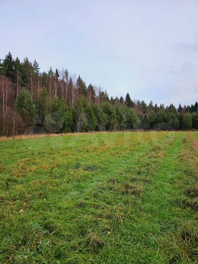 Участок 8 сот. (ИЖС)